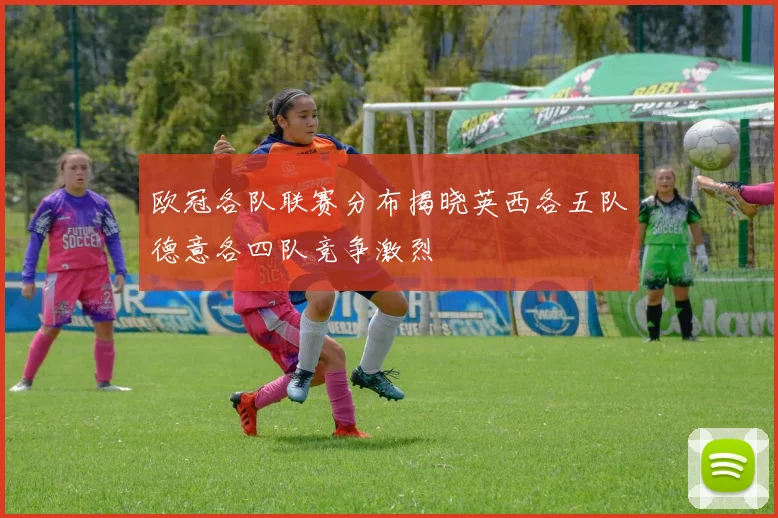 欧冠各队联赛分布揭晓英西各五队德意各四队竞争激烈